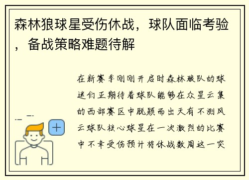 森林狼球星受伤休战，球队面临考验，备战策略难题待解