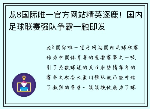 龙8国际唯一官方网站精英逐鹿！国内足球联赛强队争霸一触即发