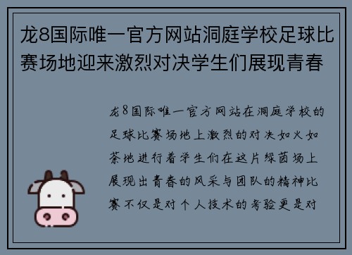 龙8国际唯一官方网站洞庭学校足球比赛场地迎来激烈对决学生们展现青春风采与团队精神