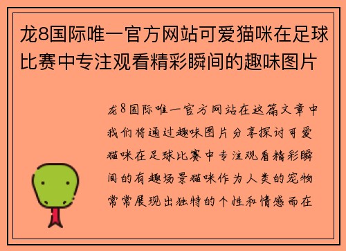 龙8国际唯一官方网站可爱猫咪在足球比赛中专注观看精彩瞬间的趣味图片分享
